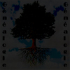 arbre_black.jpg
